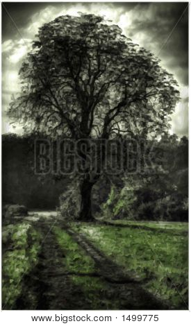 Albero