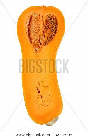 Polovina ořešák dýně