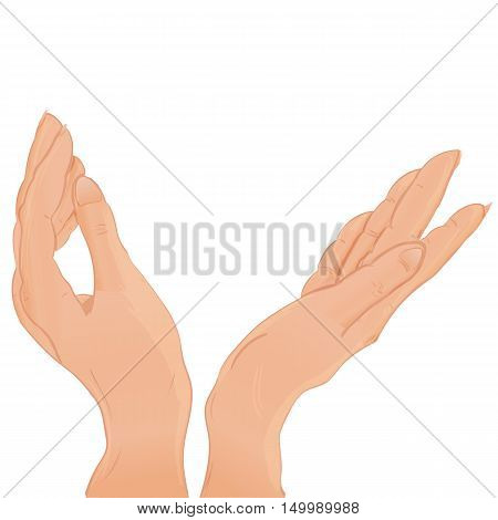 cartoon two female hands holding something vector