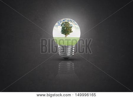 light bulb against tree on black background. ecological and energy concept