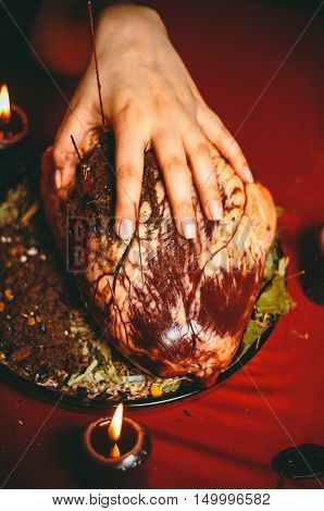 a witch holds a ritual at the heart of a bull