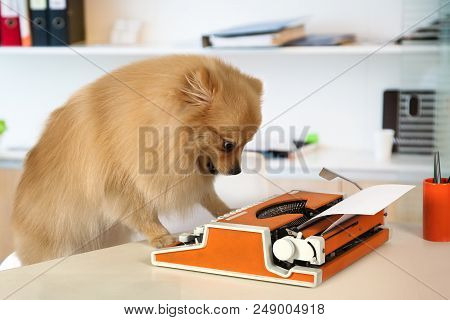 Cute Pomeranian Dog Typing On A Vintage Typewriter In The Office