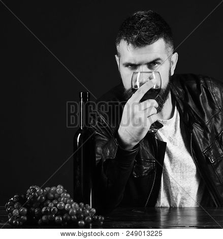 Man With Beard Holds Glass Of Wine On Dark Brown Background. Degustator With Strict Face Sits By Win