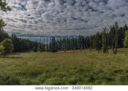 Area Near Novoveska Spring In Slavkovsky Les National Park