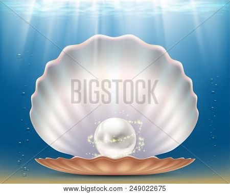 Open Beautiful Seashell With A Precious Pearl. Stock Vector Illustration.
