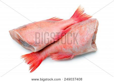 Raw Red Sea Fish Without Head On White Background. Two Red Perchs