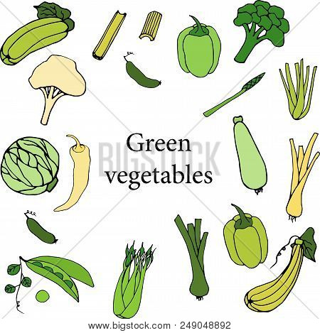 Green Vegetables On White Background. Hand Drawn Illustration Isolated On White Background