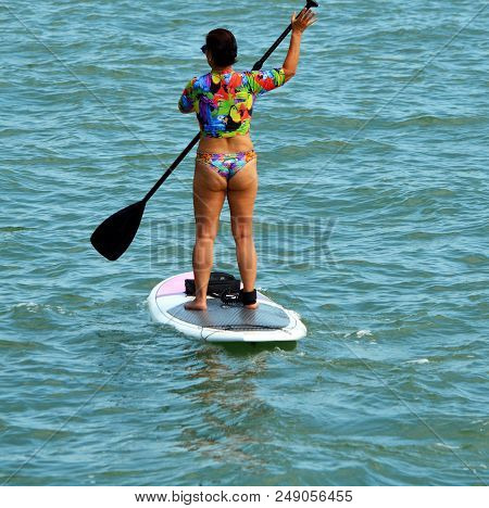 Woman Standing Up On A Paddle Board Rowing On The Florida Intra-coastal Waterway Off Miami  Beach.