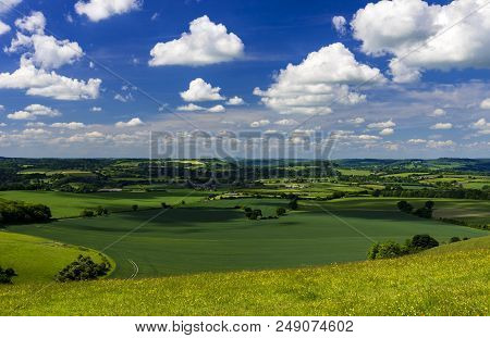 Bright Sunlight Warms The Green Crops And Grassland Of The Blackmore And Wardour Vales On The Dorset