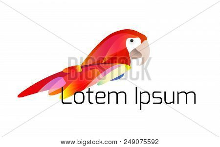 Logo Template  With Stylized Illustration Of A Parrot With A Multicolored Tail And Place For Titles.