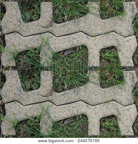 Seamles Pattern Of Concrete Road Tile On The Green Grass Path