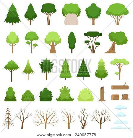 Set Of Different Stylish Forest, Tropical And Dry Trees, Bushes, Stumps, Logs And Clouds. Vector Ill