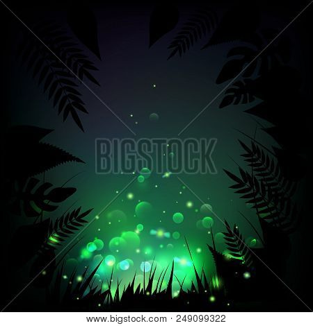 Stock Vector Illustration Fireflies Night Tropical Background. Lights, Leaves, Grass. Eps10
