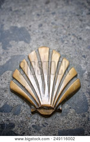 Santiago shell close up in Jaca, Huesca, Aragon, Spain.