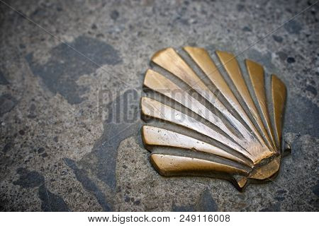 Santiago shell close up in Jaca, Huesca, Aragon, Spain.