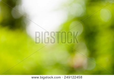 Blurred Green Background, Background For Sites And Magazines