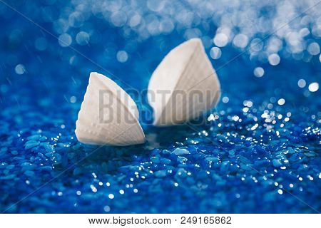 white exitoic sea shell on blue pebble under water droplets