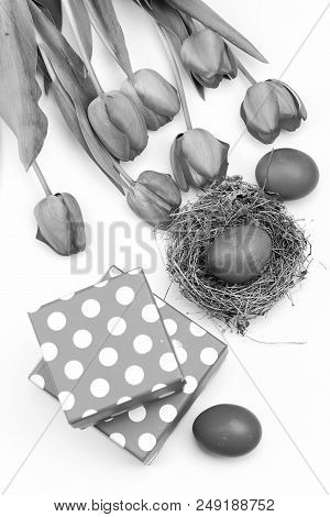 Easter Symbols Concept. Bouquet Of Spring Tulips For Holiday. Tulips In Pink Or Red Colors Isolated 