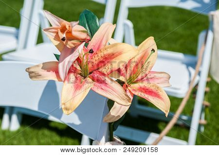 Pink And Orange Stargazer Lily Flowers Embellish  The White Rows Of Chairs At The Wedding Ceremony V