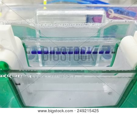 Medellín, Antioquia, Colombia - 04/02/2018: Polyacrylamide Gel Electrophoresis With 15-lane Blue Loa