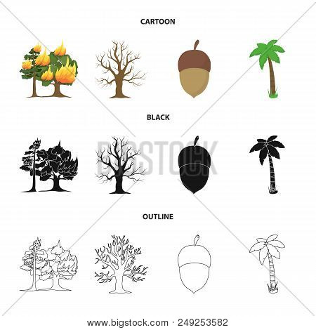 Burning Tree, Palm, Acorn, Dry Tree.forest Set Collection Icons In Cartoon, Black, Outline Style Vec