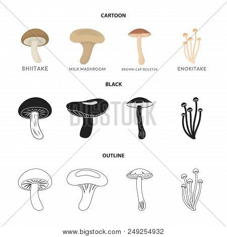 Shiitake, Brown Cap Boletus, Enokitake, Milk. Set Collection Icons In Cartoon, Black, Outline Style 