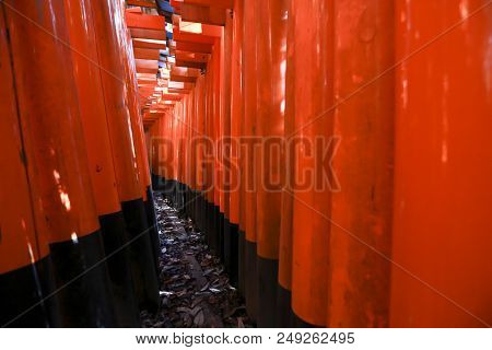 Fushimi Inari Shrine Location For Senbon Torii (thousands Of Torii Gates) Kyoto Osaka Japan Asia
