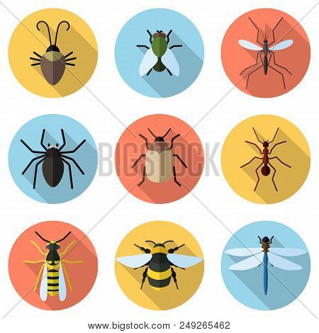 Set Of 9 Insects Icons In Flat Style