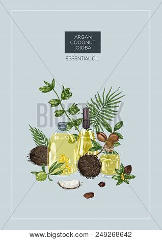 Set Of Hand Drawn Bottles With Different Cosmetic Oils. Isolated On White. Great For Body Care, Heal