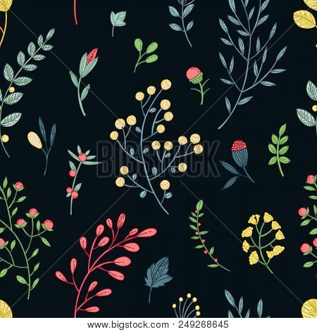 Vector Seamless Pattern With Leaves, Swirls, Flowers, Berries And Branches  Elements On Black Backgr