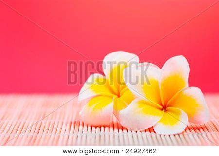 Leelawadee virágok bambusz textúra