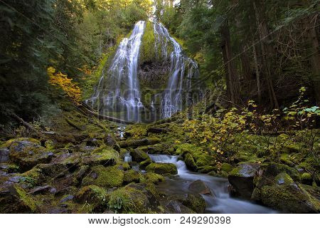 Proxy Falls Near Blue River In Oregon