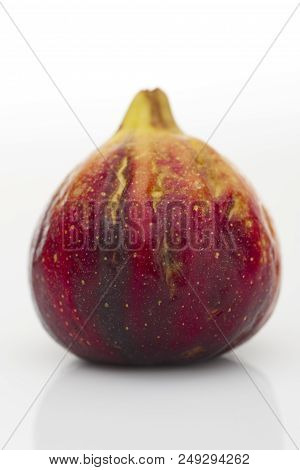 Fresh Fig. Food Photo.