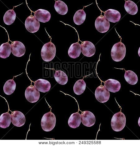 Modern Watercolor Botanical Illustration. Pinot Noir-grigio Grape Berries. Seamless Pattern, Black B