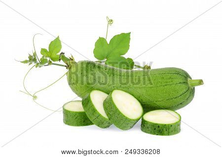 Fresh Green Sponge Gourd Or Luffa With Leaf Isolated On White Background