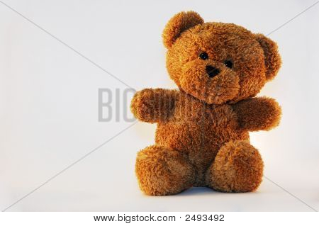 Teddy Bear auf weiß