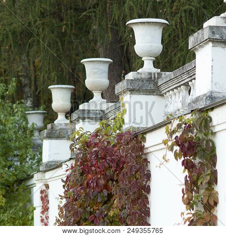 Autumn Hops On The Balustrade In Manor Park