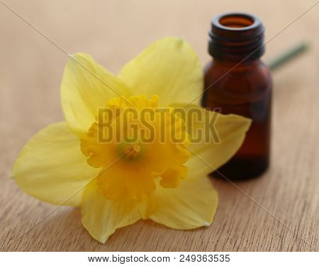 Flower Daffodil With Essential Oil In A Jar On Wooden Surface