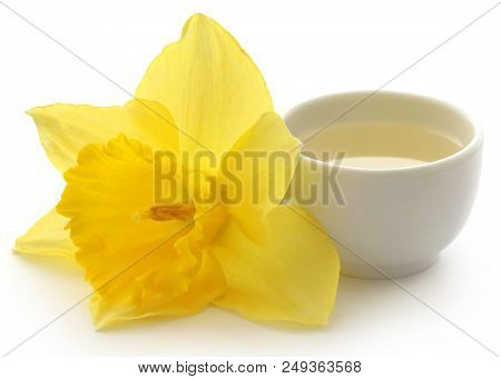 Flower Daffodil With Extract In A Bowl Over White Background