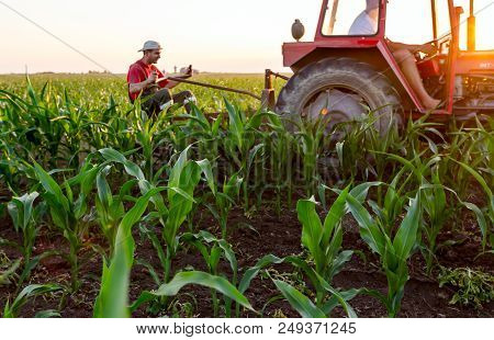 Jasa Tomic, Vojvodina, Serbia - June 3, 2017: Farmers With Tractor Are Cultivating Field With Young 