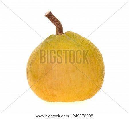 Santol Fruit Full Balls On White Background.