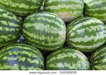 Market Counter With Delisios Watermelons.