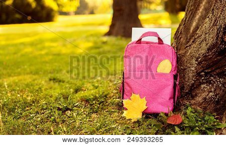 Close Up Of Red School Bag Stazing Outdoors Under The Tree