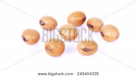 Soy Beans Isolated On The White Background