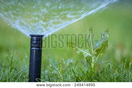 Automatic Sprinkler System Watering The Lawn On A Background Of Green Grass, Close-up