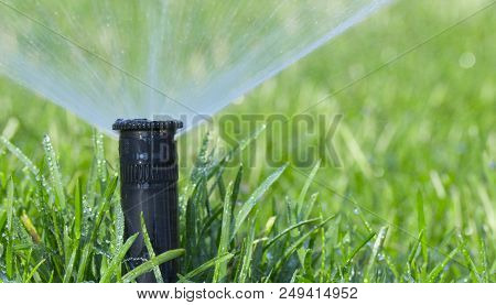Automatic Sprinkler System Watering The Lawn On A Background Of Green Grass, Close-up