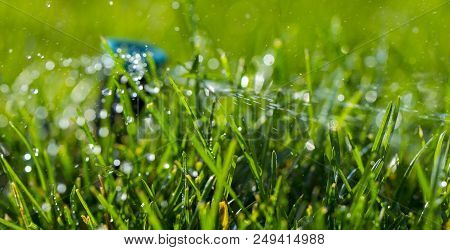 Automatic Sprinkler System Watering The Lawn On A Background Of Green Grass, Close-up