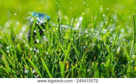 Automatic Sprinkler System Watering The Lawn On A Background Of Green Grass, Close-up