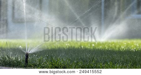Automatic Sprinkler System Watering The Lawn On A Background Of Green Grass, Close-up