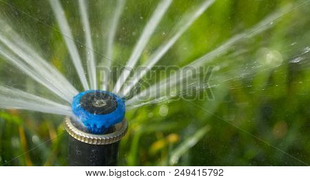 Automatic Sprinkler System Watering The Lawn On A Background Of Green Grass, Close-up
